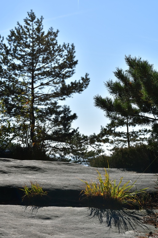 2018-10 Prague/Sächsische Schweiz/DSC_5727.JPG